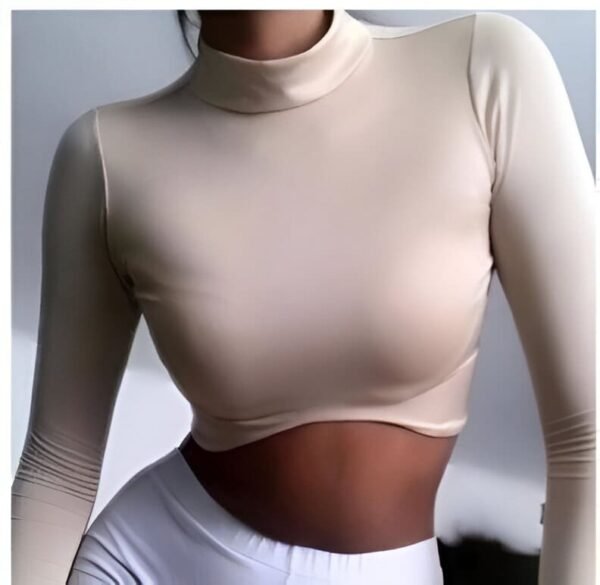 White long sleeve crop top with turtleneck